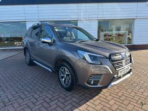 SUBARU FORESTER at Livingstone Motor Group Hull